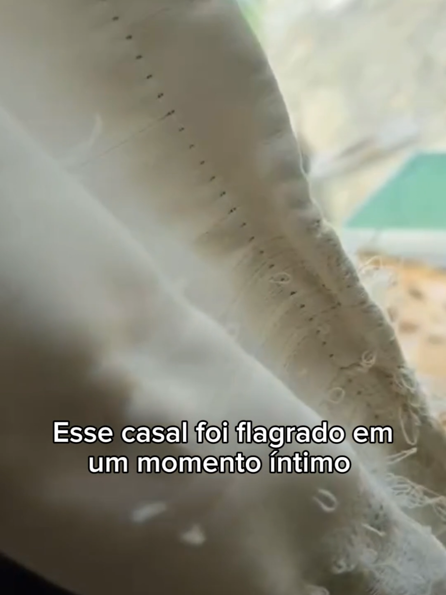 eu amo gatos kkkkkkkk #fofo #gatos #cachorro #animaisfofos 