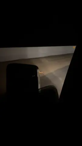 #كلوزر_العنابي 