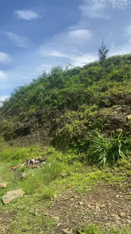 #fypviralシviral🖤tiktok🙂🙂 