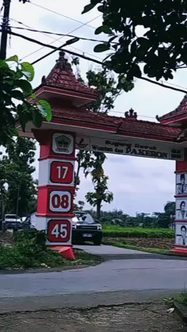 koyo iring2 nganten 😭#masyoyok #atmnyagwsm #kaptenyoyok #kukung #CapCut 