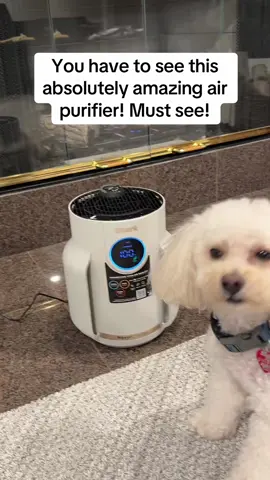 This is the #SHARKNeverchange air purifier you have to see! #kahlaDeals #TikTokShopCreatorPicks #TikTokShopBlackFriday #TikTokShopCyberMonday 