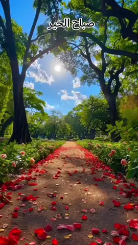 #صور صباح الخير بدون صوت بدون موسيقى صور فقط بذكر الله #صباح الخير بطريقه جديده جميله روعه حلوه فخمه رائعه مميزه مؤثره صور و مناظر طبيعية و دعاء صور صباحيه جميله جديده رائعه  #صباحيات جميله جديده رائعه حلوه فخمه روعه مميزه مؤثره صور و مناظر طبيعية بذكر الله #حالات صباحيه جميله جديده رائعه حلوه فخمه روعه مميزه صور  و مناظر طبيعية و دعاء جميل مريح #حالات صباح الخير حالات الصباح أجمل صباح الخير دعاء الصباح دعاء صباح الخير مقاطع صباح الخير صور 