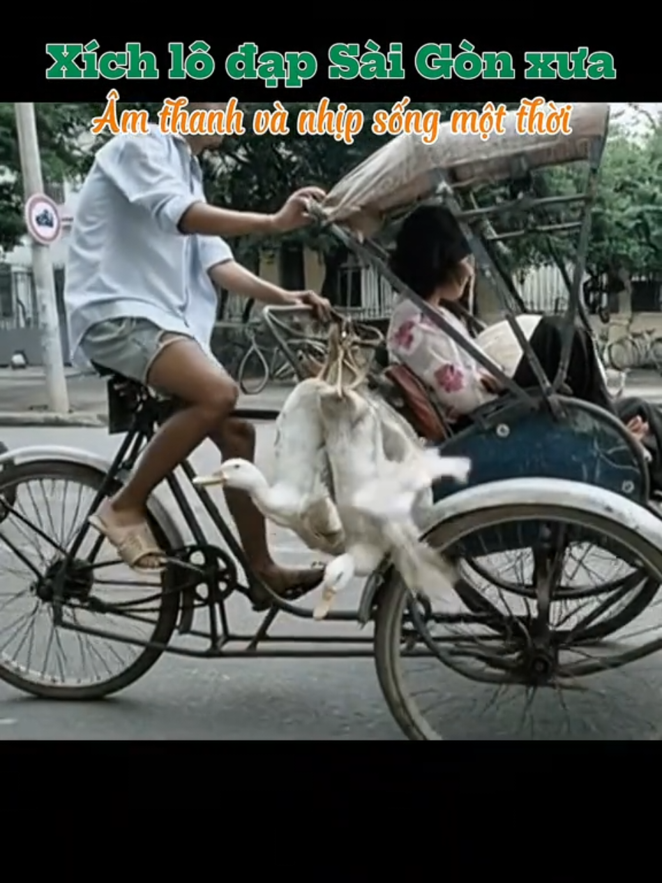 Ngày xưa, giữa lòng Sài Gòn, tiếng xích lô đạp lách cách đã trở thành âm thanh quen thuộc của một thành phố bình yên và đầy chất thơ. Những chiếc xích lô nhẹ nhàng chở người qua từng góc phố, từng con đường, mang theo cả nhịp sống chậm rãi, dung dị của miền Nam trước 1975. Video này như một vé quay về quá khứ – nơi Sài Gòn đơn sơ, thân thiện và đầy kỷ niệm. Nếu bạn cũng từng nhìn thấy, từng nghe tiếng xích lô… chắc chắn bạn sẽ bồi hồi. #SaiGon #kyuc #kyuctrongtoi  #hoainiem #xichlo 