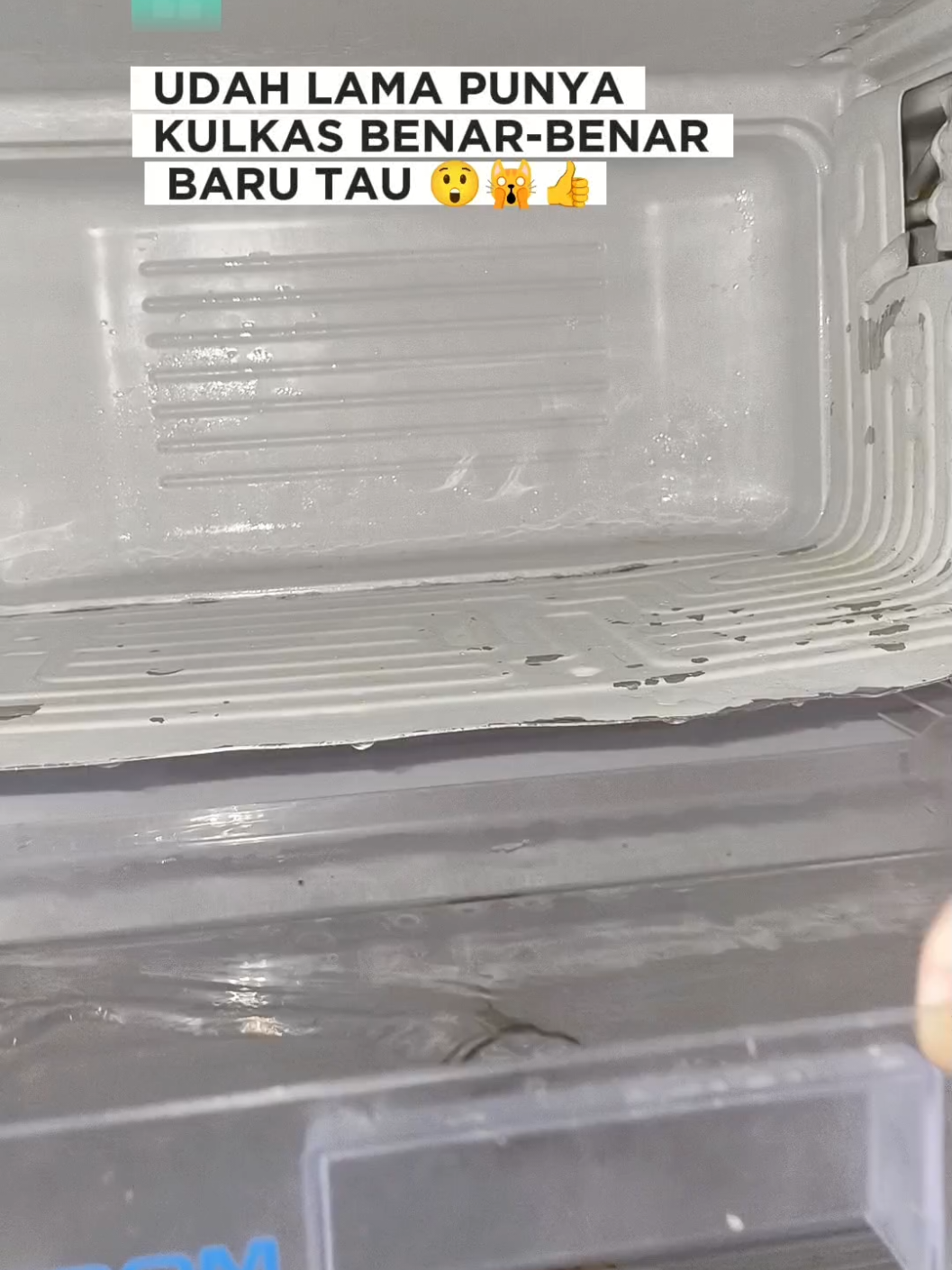 Tips melakukan kebiasaan baik pada kulkas yang jarang orang tau #lifehacks #tipsandtricks #idekreatif #fyi 