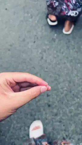 💚💚#tbsmaniakudus💚 #tbsmaniakudus #1928mentality #tbskudus1928 #1abadtbskudus 