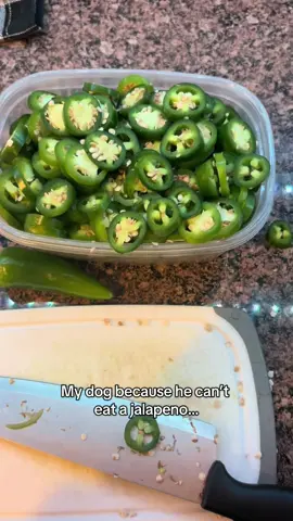 Literally POUTING like a babyyyy #fyp #dogs #comedy #frenchies #adorable 