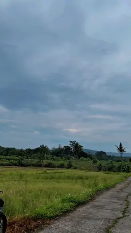 #mxking150 #mxsoloraya #mxkingsolostyle #foryoupage #fyp 