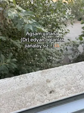Zato biz agsam yorgan za*alamzok😂 #rek #fouryourpage❤️❤️❤️ #kesfetbeniöneçıkart #rekkkkkkkk🤍 