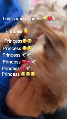 Princess you will be loved and I miss you ❤️🕊️🕊️