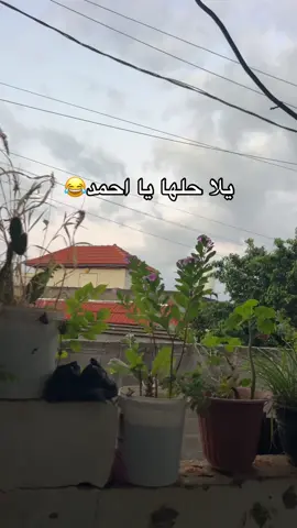 #شوفير_بالوطن_ولا_دكتور_بالغربة #viral #swedan🇸🇪 #fyp #foryou 