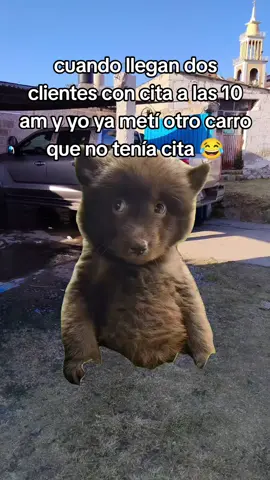 #Meme #MemeCut #CapCut #autolavadotexmolac #lavadodeautos 