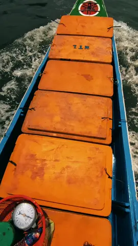 lumba lumba #promomakan1111 #rawajitutimur #fyp #udangbalap🦐 #kurirvannamie🦐 