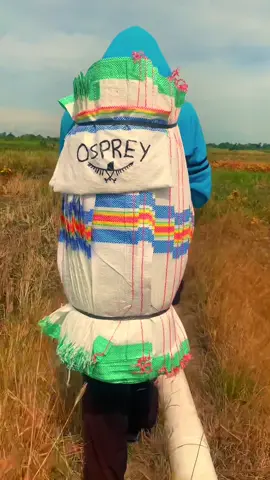 Pendakian atap sulawesi #mtlatimojong3478mdpl #osprey #fyppppppppppppppppppppppp 