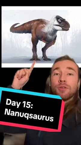 Dinovember Day 15! As per someone’s request: Nanuqsaurus - #Science #dinosaur #paleontology #animal #language 