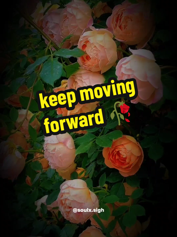 keep moving forward 🥀🔥 #poetry #deepthoughts #spokenword #Love #fyp 