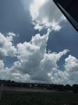 anh nghĩ chúng ta nên dừng lại nơi đây…#nhactamtrang 