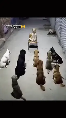 আপনার বন্ধু গুলো কে মেনশন দেন #yyyyyyyyyyyyyyyyyy 