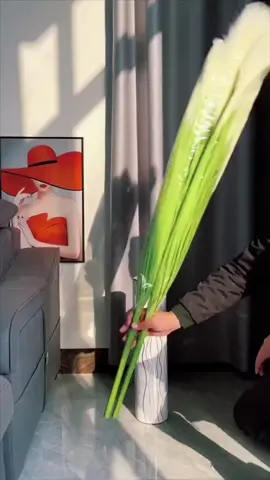 “Chạm nhẹ là bay—nhưng góc này yên bình lắm.” #hualua #decor #caylau 