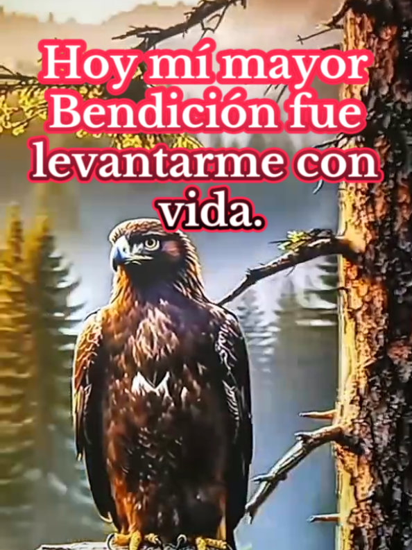 frases motivación hoy mi mayor bendición fue levantarme con vida #frases #motivacion #bendiciones #vida #parati 