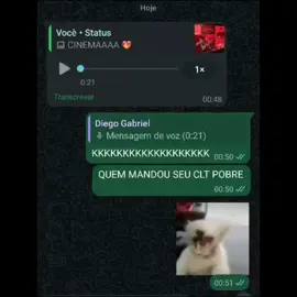 Meme autoral, e 100% real #hexatombe #hexatomberpg #cellbit #cellbitrpg #rpg