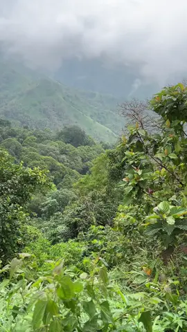 Nanjak minimal view maksimal🤩#cangarpacetmojokerto #lorokan1100mdpl #fyp 