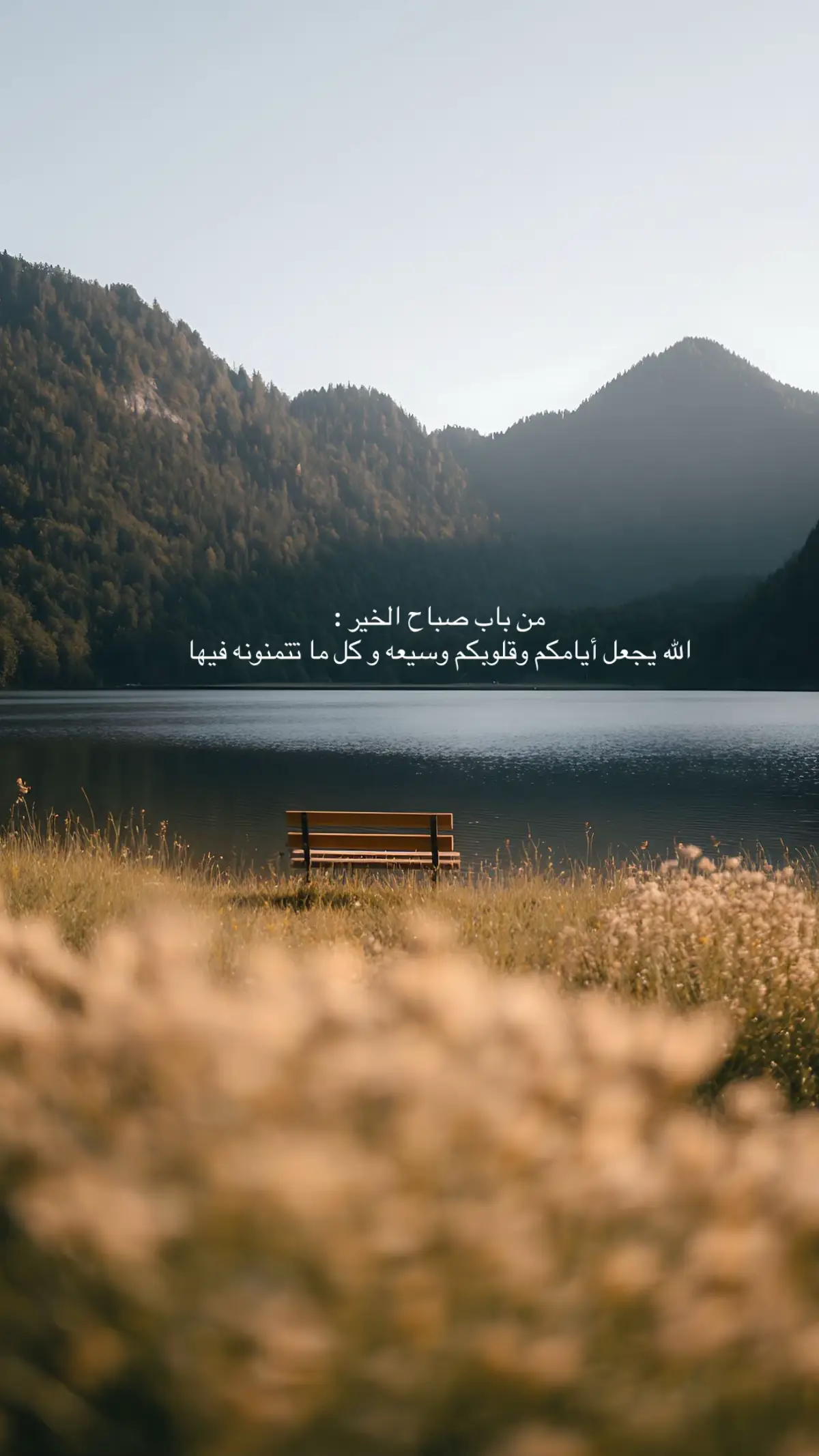 #صباح_الخير #foryou #اكسبلور 