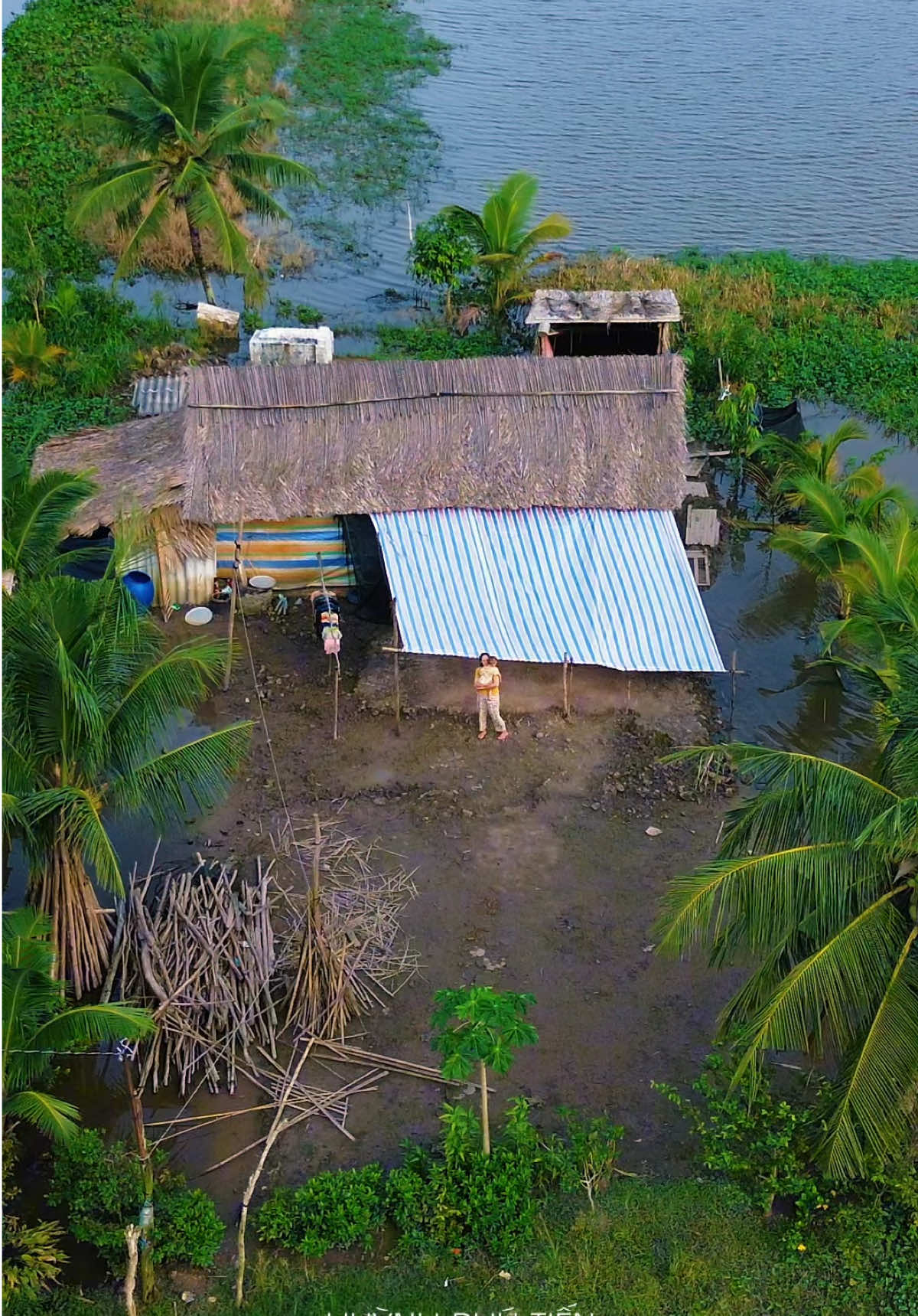 Má ơi..nuôi con má khổ trăm bề... Má Thương Con Hoài, Cảnh đẹp miền tây #huynhphutien #mientay #xhtiktok #creatorsearchinsights 