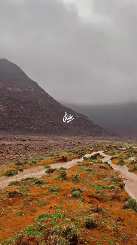 قالو الضلع سايل وانحدر فاظ سيله ورتوى كل قاع وعافت الارض ماها ‏ كلمات / الأمير  عبد العزيز بن سعد      بن عبد العزيز ال سعود   اداء / عبد العزيز العليوي تصميم فيديوهات شيلات🎶🎤🎬 اکسبلوررررررر تيك توك🌹