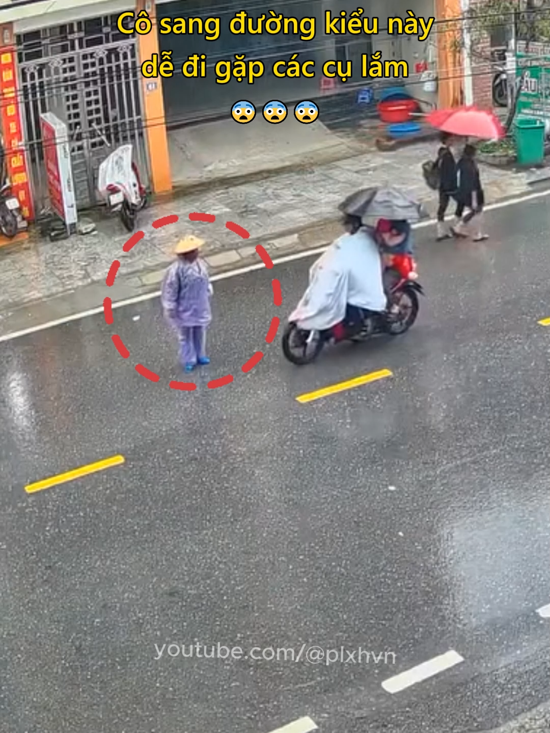 Cô sang đường kiểu này dễ đi gặp các cụ lắm 😨 #giaothong #antoangiaothong #mayman #luatgiaothong #plxhvn #phapluatxahoi