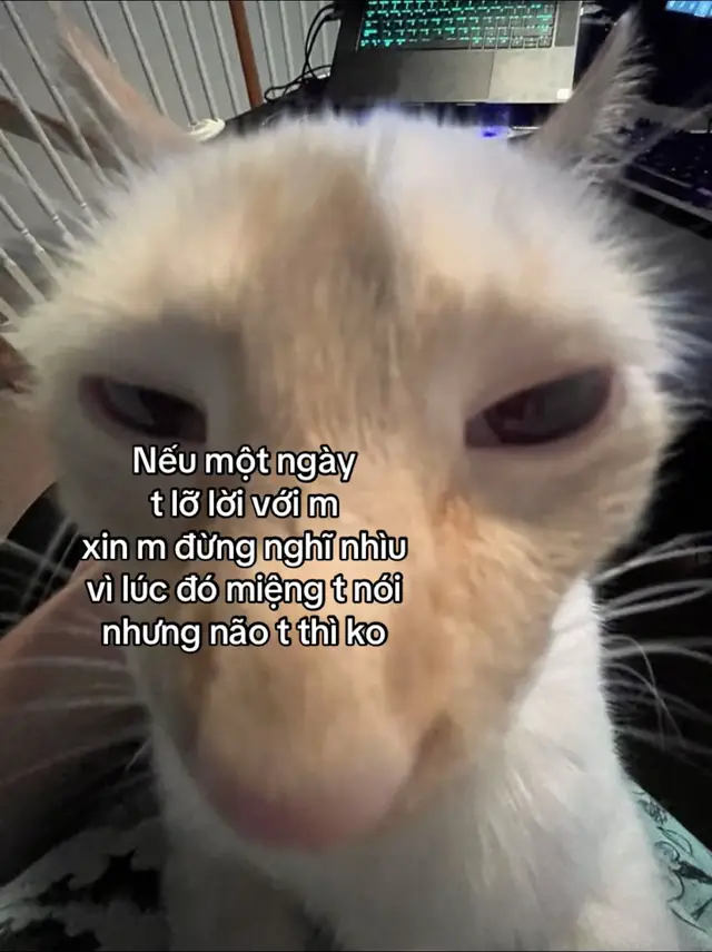 #TikTokAwardsVN #xhuongtiktok #ilovetiktok #xhuong #xhuongtiktok 