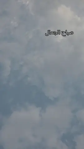 #صباح #صباح_الخير #tiktok #fypシ #LIVEStory 