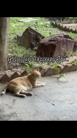 Everything change 🫠🫠🫠#change #fyp #fyppppppppppppppppppppppp #foryou #vairal 