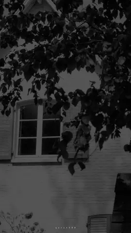 #ماهرالمعيقلي #quran 