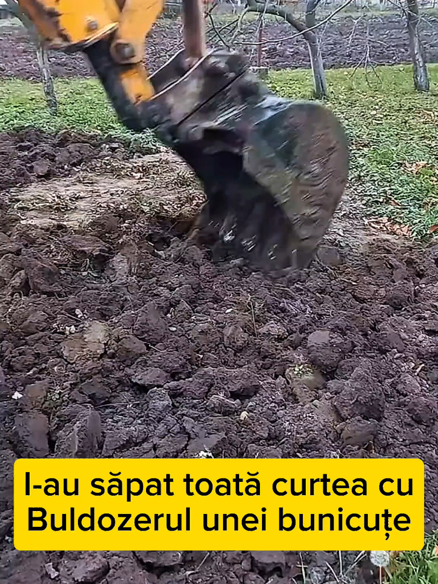 Mai rar oameni asa 