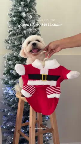 Santa Clause Pet Christmas Outfit🫶 #petchristmasoutfit #christmasoutfitideas #dogclothes #dogcostume #petclothes 