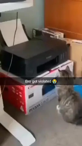 #fypage #fypシ #fypシ゚ #foryou #memes 