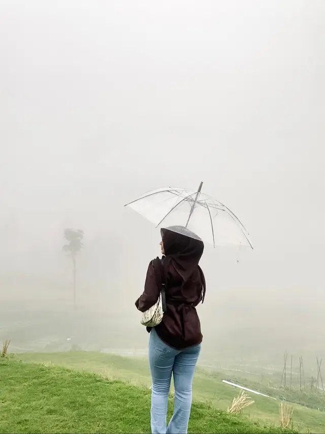 info perkabutan🫴🏻 #giriklaenganguci #eksplortegal #guci #ikuttrend #fyp 