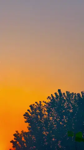 زندگی میں کچھ لمحے ایسے بھی ہوتے ہیں جو ہمیشہ یاد رہتے ہیں۔ دوستی کی کوئی حد نہیں ہوتی، نہ ہی کوئی پیمانہ ہوتا ہے۔ محبت کی ضرورت ہر کسی کو ہوتی ہے، ہر کسی سے نہیں ملتی۔ زندگی ایک سفر ہے، اور ہر سفر میں کچھ نہ کچھ سیکھنے کو ملتا ہے۔ آنکھوں میں آنسو ہیں، دل میں درد ہے، پھر بھی زندگی کو گلے لگانا پڑتا ہے 🥰🌸❤️🥀🦋🔐#unfrezzmyaccount #foryoupage #nature #beauty #explore 