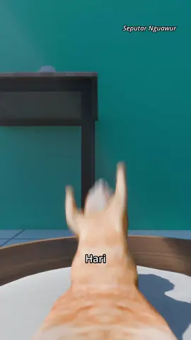 Udah siang aja🗿#sibotak 