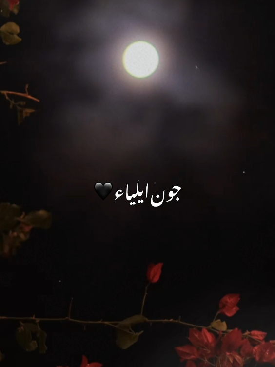 ✨ جون ایلیاء ♨️ #fyp #jounelia #poetrystatus #trending #dontunderreviewmyvideo 