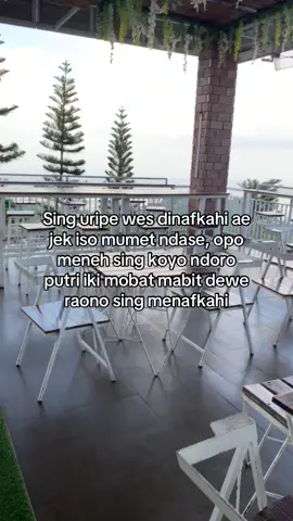 #4u #story #jowopride #umbulsidomukti 