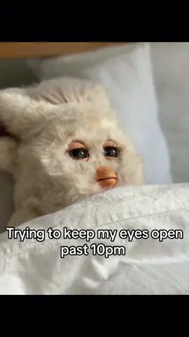 b/c when did I get so old #night #sleep #old #fyp #furby 