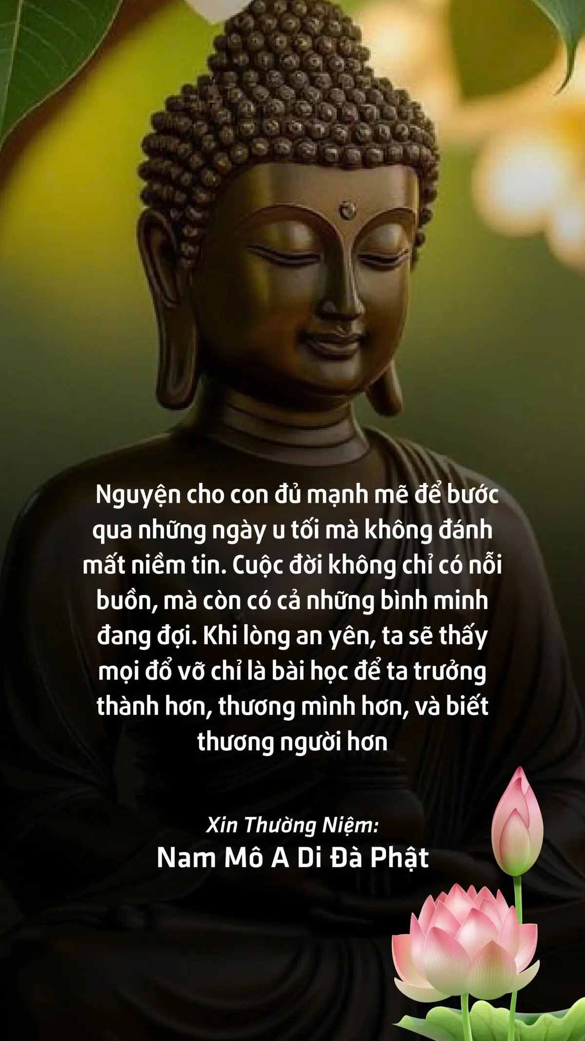 #adidaphat #phatphapnhiemmau 