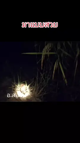 ตอกสั่นหนู อ.สออน บอกแล้วมันดูด