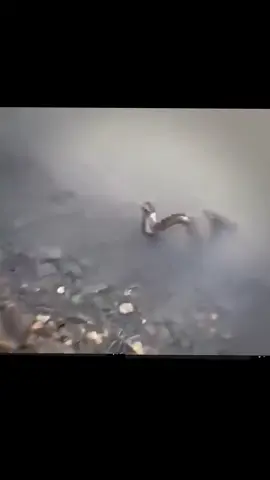 第一次钓鱼钓到海绵宝宝#流量密碼 #上推荐 #搞笑影片 #水视频使我快乐🌚🌚🌚 