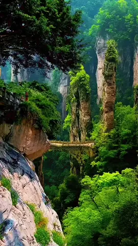 سورة هود تلاوة الشيخ سعود الفايز #سعود_الفايز #ايات_قرآنية #القران_الكريم #القرآن_الكريم #fyp 