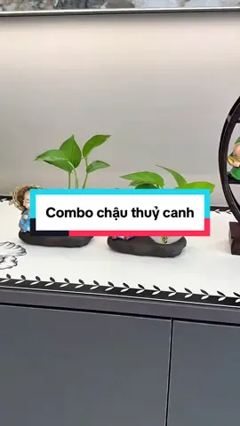 Combo chậu thuỷ canh #giadungtienich #giadungthongminh #fyp #combochauthuysinh 