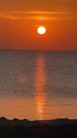 نحن الصباحيون 🌤️🕊️🍁#صباحكم_سعادهـ🌸🍃 #الخبر♥️ 