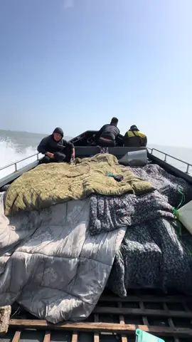 Đua tí không ae @An Nhiệt #xuongbaymongcai 