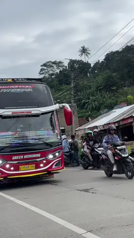 Hmmm🥵#basuri #busmania #busmaniacommunity #dix77 #greenkemuning 